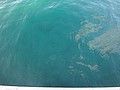 DSC02603.JPG