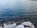DSC02604.JPG