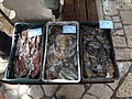 DSC02691.JPG