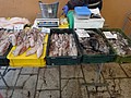 DSC02692.JPG