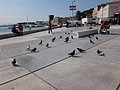 DSC02712.JPG
