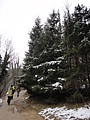DSC04201.JPG