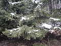 DSC04202.JPG