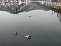 DSC04204.JPG