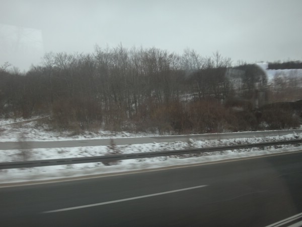 DSC02764.JPG