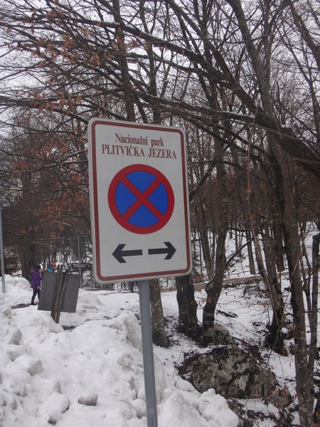 DSC02778.JPG