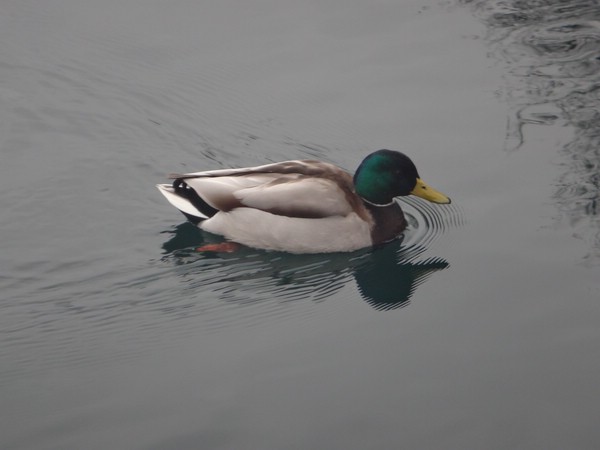DSC02844.JPG