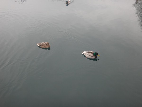 DSC02846.JPG