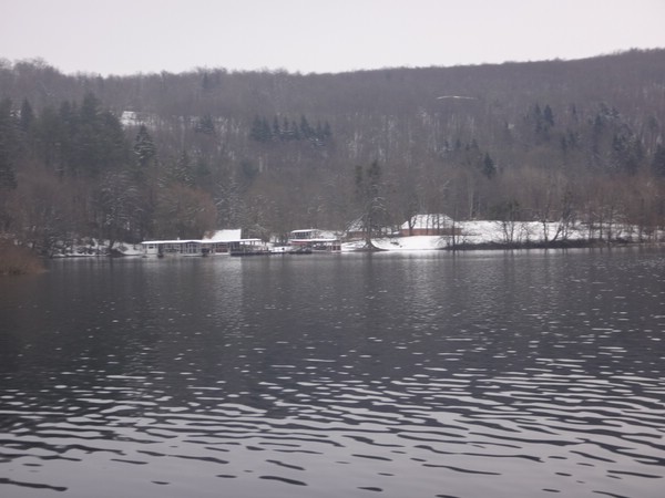 DSC02850.JPG