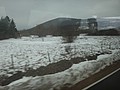 DSC02765.JPG