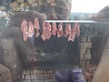 DSC02767.JPG