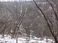 DSC02790.JPG