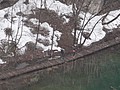 DSC02815.JPG