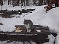 DSC02824.JPG