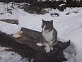 DSC02827.JPG