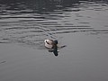 DSC02843.JPG
