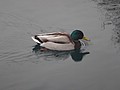 DSC02844.JPG