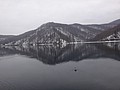 DSC02845.JPG