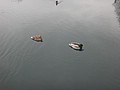 DSC02846.JPG