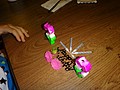 DSC03301.JPG