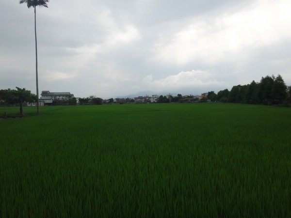 DSC03345.JPG