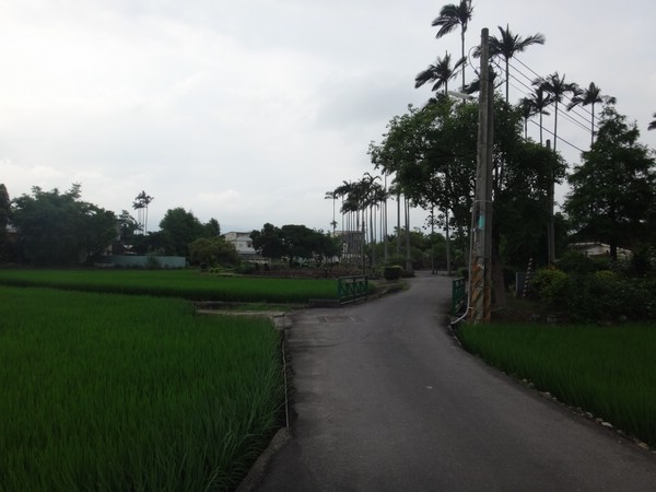 DSC03346.JPG
