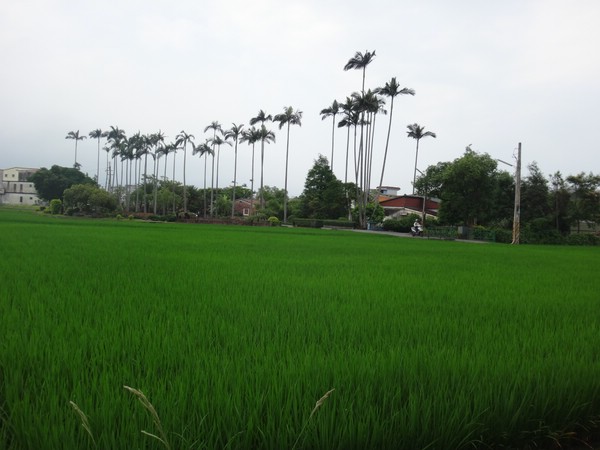 DSC03355.JPG