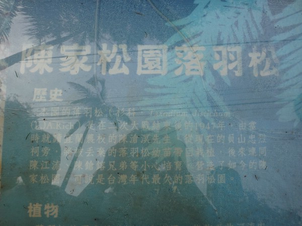 DSC03364.JPG