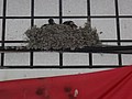 DSC03329.JPG