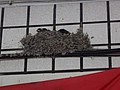 DSC03331.JPG
