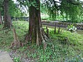 DSC03334.JPG