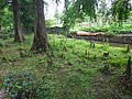 DSC03335.JPG