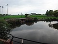 DSC03341.JPG