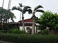 DSC03342.JPG
