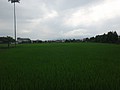 DSC03345.JPG