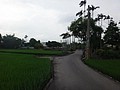 DSC03346.JPG
