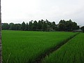DSC03354.JPG