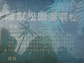 DSC03364.JPG