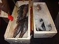DSC03400.JPG