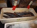 DSC03403.JPG
