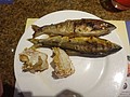 DSC03604.JPG