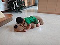 DSC03809.JPG