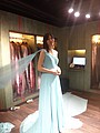 DSC03874-1.jpg