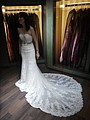 DSC03917-1.jpg