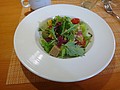 DSC04102.JPG