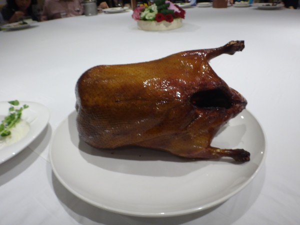 DSC04329.JPG
