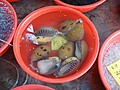 DSC04428.JPG
