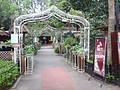 DSC04432.JPG