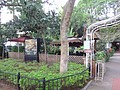 DSC04433.JPG