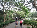 DSC04434.JPG